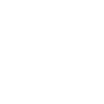 9001cc金沙以诚为本简介